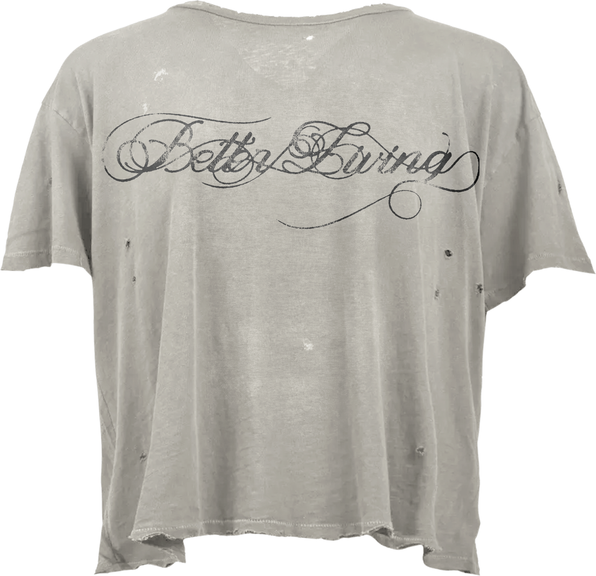 Chrome Script Tee (gray)
