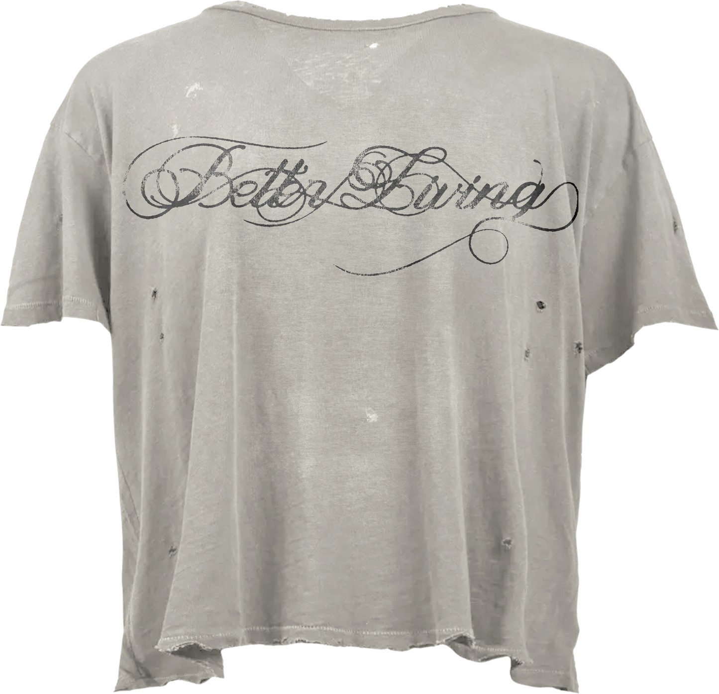 Chrome Script Tee (gray)